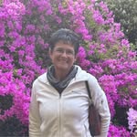 Paula Schoon - @paulaschoon - Instagram