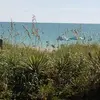 paulatauberschoon - @paulatauberschoon - TikTok