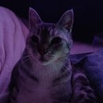 Paula Martin - @paula.schumann.73 - Instagram