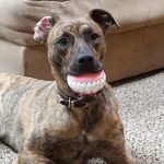 Paula Mobberley-schuman - @mobberleyschuman - Instagram