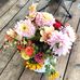 Paula Scribner-Rouleau - Facebook