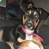 Paula - @paulasell1 - TikTok