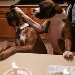 Paula Seward - Facebook