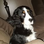 Paula Seward - Facebook
