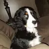 paulaseward7723 - @paulaseward7723 - TikTok