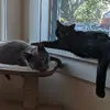 Paula Shea381 - @paulashea381 - TikTok