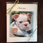 Paula Shea - @petprintsbypaula - Instagram