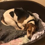 Paula Sheldon - @cheg112 - Instagram
