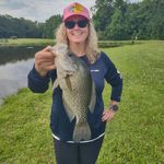 Paula Sheldon - @psheldon1972 - Instagram