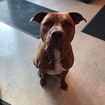 Paula Sheppard - @pshep233 - Instagram