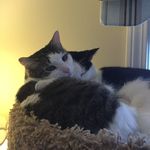Paula Sheppard - @sheppard5143 - Instagram