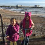 Woolly - @paula_sheppard_ - Instagram