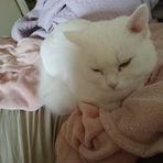 Paula Short - Facebook