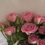 Paula Schroeder - Facebook