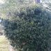 Paula Shuler - Facebook
