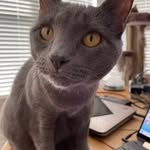Paula Sievert - @paula.sievert566 - Instagram