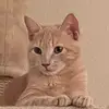 paulasilcox8 - @paulasilcox8 - TikTok