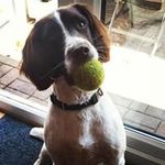 Paula Simmonds - @palushkas - Instagram
