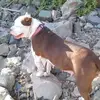 Paula Sneed - @paula.sneed97 - TikTok