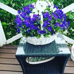 Paula - @paula_snellman_ - Instagram