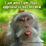 Paula Snell McGowan - @paulasnellmcgowan - Instagram