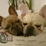 Paula Solares González - @pau_li_85 - Instagram