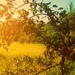 @paula_sonnenkind - Instagram