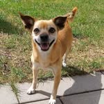 Paula von der Sonnenhalde 🐾 - @paula.sonne - Instagram