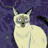 paula spaulding - @paula.spaulding5 - TikTok