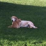 Paula Spaulding-Buhrmester - @buhrmesterps - Instagram