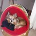 Paula Spratt - Facebook