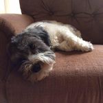 Paula Staats - @paula.staats.5 - Instagram