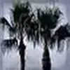 paulastaley272 - @paulastaley272 - TikTok