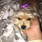 Paula Stapleton - @stapleton6725 - Instagram