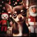 Paula Steadman - Facebook