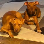 Paula Fitches - @paulasteed71 - Instagram