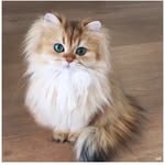 Paula Steeds-Huston - @paula.steeds - Instagram