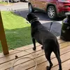 Paula Stepler - @paula.stepler - TikTok