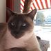 Paula Steffens - Facebook