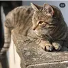 paulastegerhoff - @paulastegerhoff - TikTok
