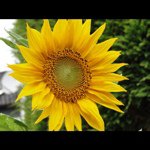 @paulastern - Instagram