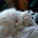 Paula Stevens - @paula.stevens.12532 - Instagram