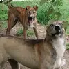 paula stoll - @paula.stoll5 - TikTok