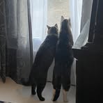 Paula Storm - Facebook