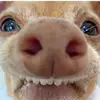 Paula Stott850 - @paulastott1 - TikTok