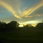 Paula Stott Wisdo - @pwisdo.tampabay.rr - Instagram
