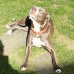 Paula Strader - Facebook