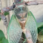 Paula Strand - Facebook