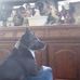 Paula Stricker - Facebook