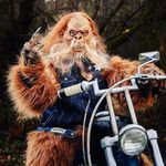 Paula Stuart - @paulacompletechaos - Instagram